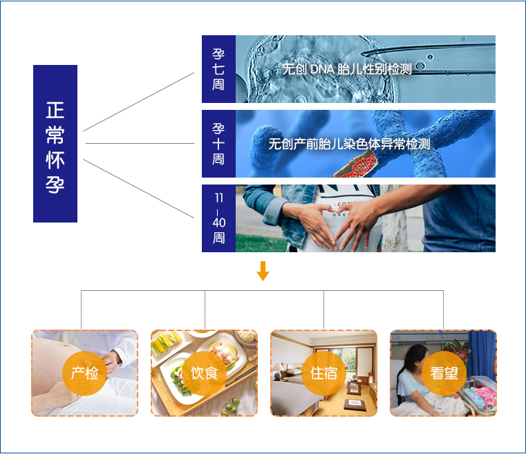 坤和推荐|上海哪个生殖医院可以供卵？